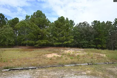 156 Jacobs Mill Pond Road, Elgin, SC 29045 - Photo 36