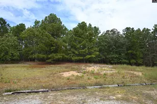 156 Jacobs Millpond Rd, Elgin, SC 29045 - Photo 36