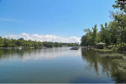 454 Brookridge Drive, Chapin, SC 29036 - Photo 20