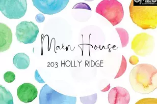 203 Holly Ridge Ln, West Columbia, SC 29169 - Photo 8