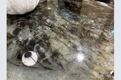 203 Holly Ridge Lane, West Columbia, SC 29169 - Photo 24