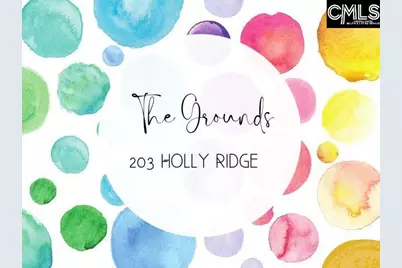 203 Holly Ridge Lane, West Columbia, SC 29169 - Photo 62