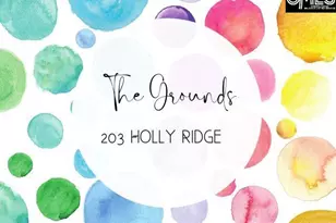 203 Holly Ridge Ln, West Columbia, SC 29169 - Photo 62