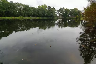 619 Barr Road, Lexington, SC 29072 - Photo 38