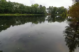 619 Barr Rd, Lexington, SC 29072 - Photo 38