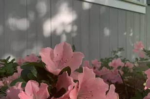 538 Crofton Rd, Blackstock, SC 29014 - Photo 98