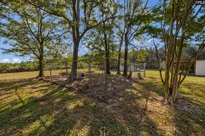 187 Peach Tree Street, Ward, SC 29166 - Photo 76