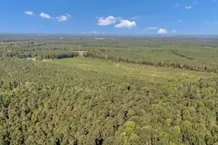 187 Peach Tree St, Ward, SC 29166 - Photo 98