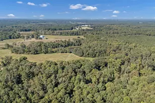 187 Peach Tree St, Ward, SC 29166 - Photo 96