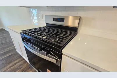 273 Sunny Hill Drive, Blythewood, SC 29016 - Photo 16