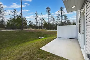 273 Sunny Hl Dr, Blythewood, SC 29016 - Photo 8