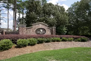 250 Backspin Dr, Elgin, SC 29045 - Photo 20