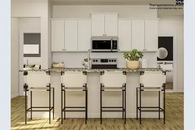 250 Backspin Drive, Elgin, SC 29045 - Photo 4