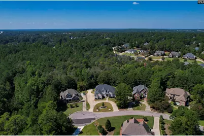 141 Bellelake Court, Columbia, SC 29223 - Photo 6