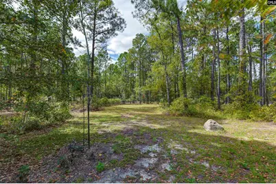 257 Rim Rock Road, Gilbert, SC 29054 - Photo 38