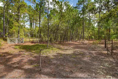 257 Rim Rock Road, Gilbert, SC 29054 - Photo 40