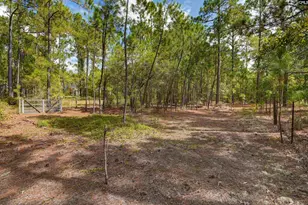 257 Rimrock Rd, Gilbert, SC 29054 - Photo 40