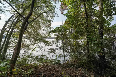 0 Tailers Trail, Leesville, SC 29070 - Photo 14