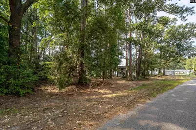 1172 Tailers Trail, Leesville, SC 29070 - Photo 2