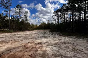 1577 Porter Rd, Cassatt, SC 29032 - Photo 22