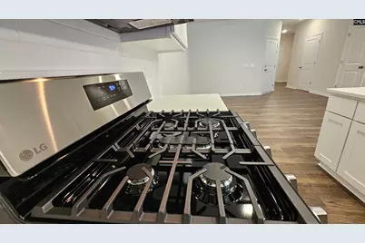 261 Sunny Hill Drive, Blythewood, SC 29016 - Photo 8