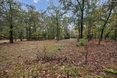 152 Frisco Lane, Neeses, SC 29107 - Photo 42