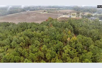 152 Frisco Lane, Neeses, SC 29107 - Photo 54