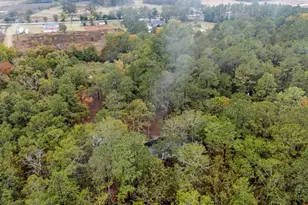 152 Frisco Ln, Neeses, SC 29107 - Photo 56