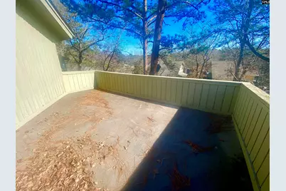 96 Ligustrum Lane, Columbia, SC 29209 - Photo 14