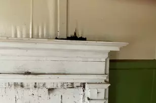 689 Bridge St, Bamberg, SC 29003 - Photo 8