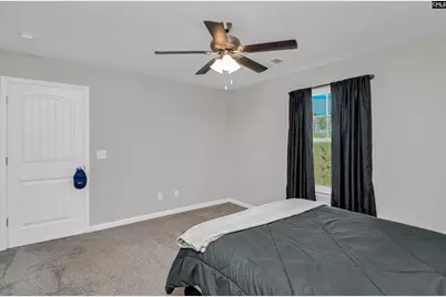 297 Wahoo Circle, Irmo, SC 29063 - Photo 10