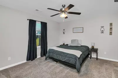 297 Wahoo Circle, Irmo, SC 29063 - Photo 8