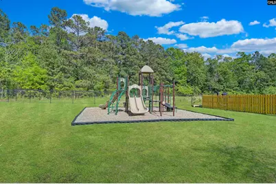 297 Wahoo Circle, Irmo, SC 29063 - Photo 20