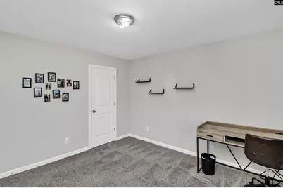 297 Wahoo Circle, Irmo, SC 29063 - Photo 16