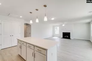 665 Clementine Run, Gilbert, SC 29054 - Photo 10