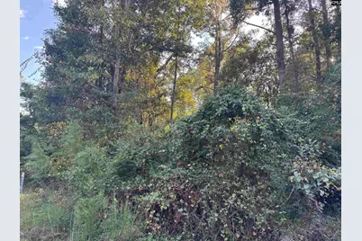 000 Quattlebaum Avenue, Ridge Spring, SC 29129 - Photo 4