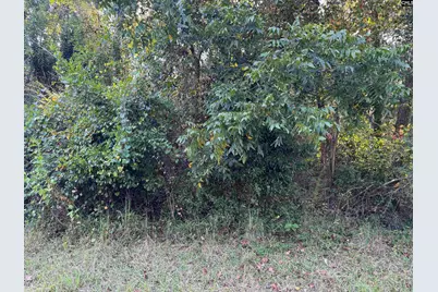 000 Quattlebaum Avenue, Ridge Spring, SC 29129 - Photo 8