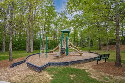 668 Autumn Ridge Road, Chapin, SC 29036 - Photo 36