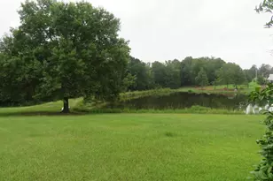 228 Shady Springs Rd, Prosperity, SC 29127 - Photo 4