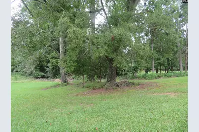 228 Shady Springs Road, Prosperity, SC 29127 - Photo 6