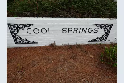 518 Saddle Drive, Camden, SC 29020 - Photo 54