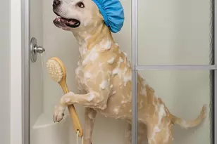 645 Kelly Mill Rd, Elgin, SC 29045 - Photo 24