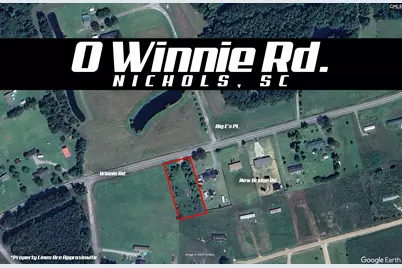 0 Winnie Road, Other, SC 29581 - Photo 1