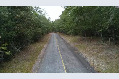 Tbd Holiness Church Road, Wagener, SC 29164 - Photo 6
