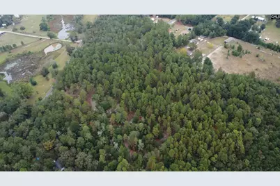 Tbd Holiness Church Road, Wagener, SC 29164 - Photo 4