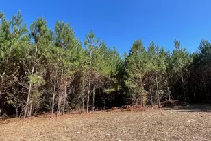 1938 Old Georgetown Rd W, Cassatt, SC 29032 - Photo 1