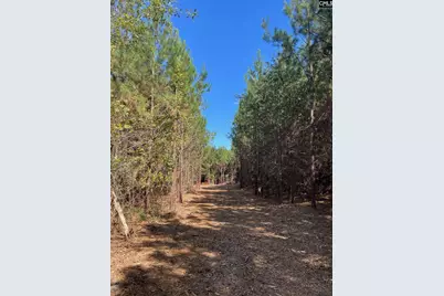 1938 Old Georgetown Road W #1, Cassatt, SC 29032 - Photo 4