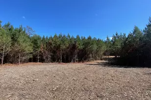 1938 Old Georgetown Rd W, Camden, SC 29032 - Photo 1