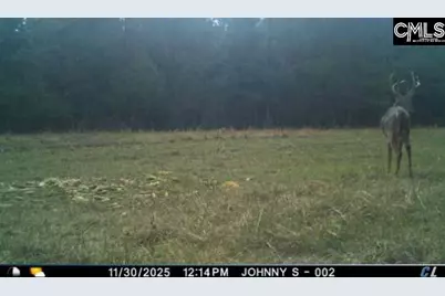 174 Bottlebrush Road, North, SC 29112 - Photo 22