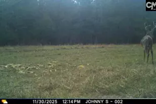 174 Bottlebrush Rd, North, SC 29112 - Photo 22